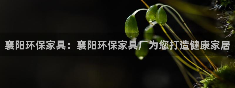 杏耀平台分红