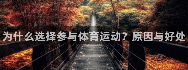 oety欧亿
