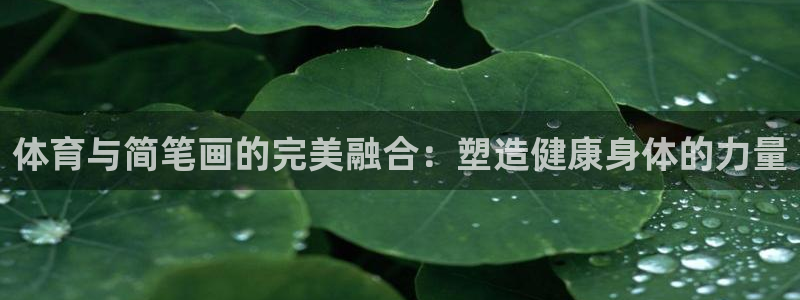 oety欧亿