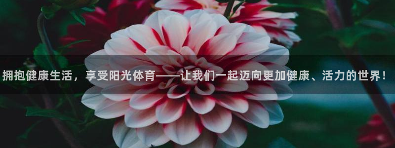 oety欧亿：拥抱健康生活，享受阳光体育——让我们一起迈向更加健康、活力的世界！