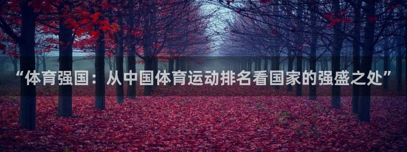 oety欧亿