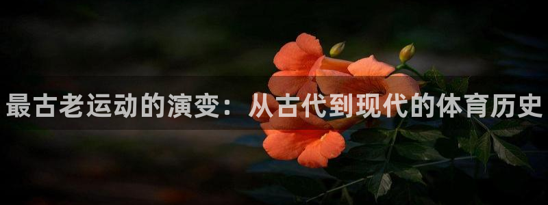 oety欧亿