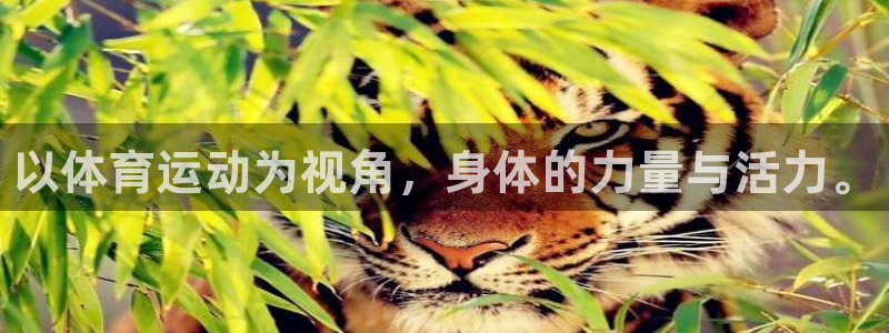 oety欧亿