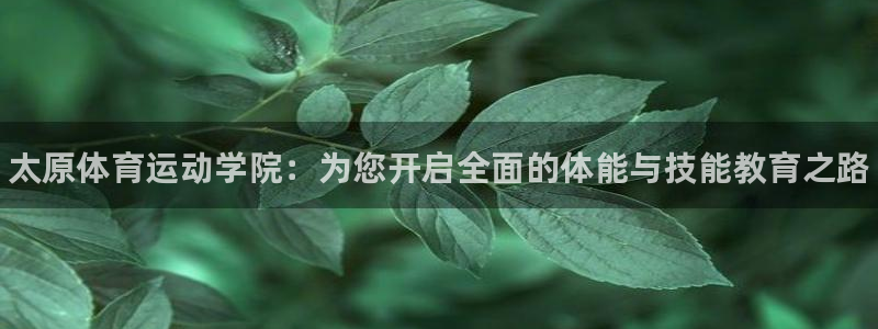 oety欧亿