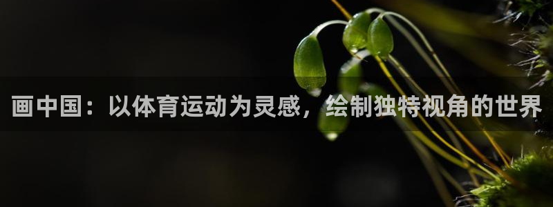 oety欧亿：画中国：以体育运动为灵感，绘制独特视角的世界